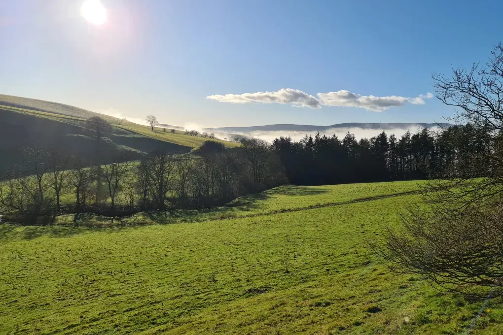 Cefn-nant Lodge