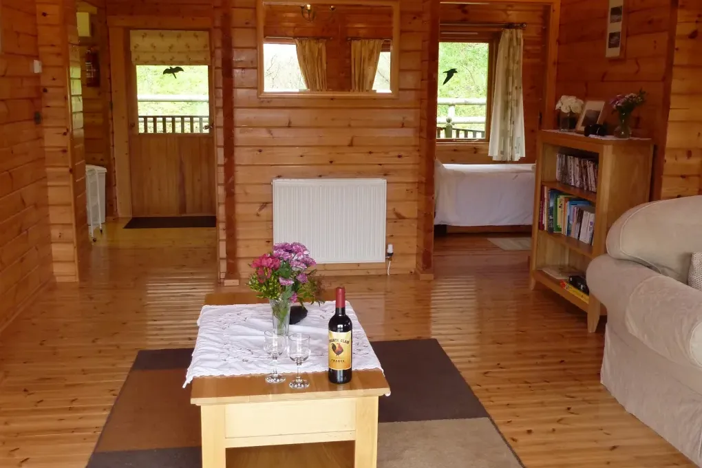Pine lodge with hot tub in Wales