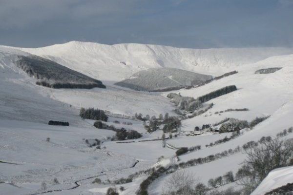 Winter wonderland