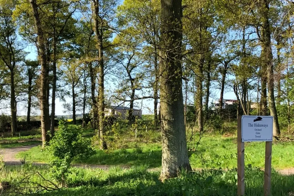 Orchard Luxury Lodge