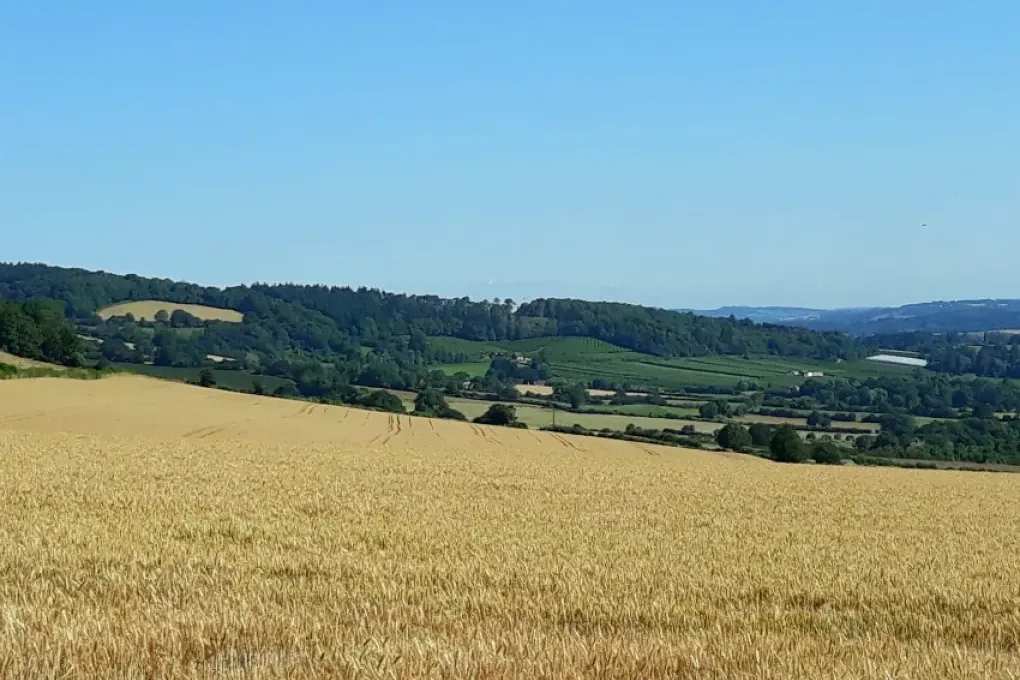 Sleeps 2, Romantic, Modern, Luxurious Cottage with garden, WiFi and Amazing Views