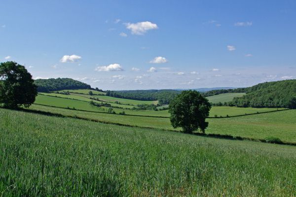 Sleeps 2, Romantic, Modern, Luxurious Cottage with garden, WiFi and Amazing Views