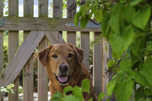 Sleeps 2, Romantic, Modern, Luxurious Cottage with garden, WiFi and Amazing Views