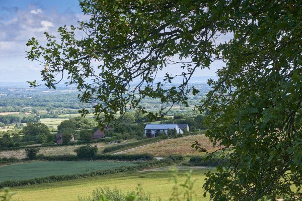 Sleeps 10, Gold Award Winning House, M1 rated, ideal for all generations with downstairs bedroom and wet room