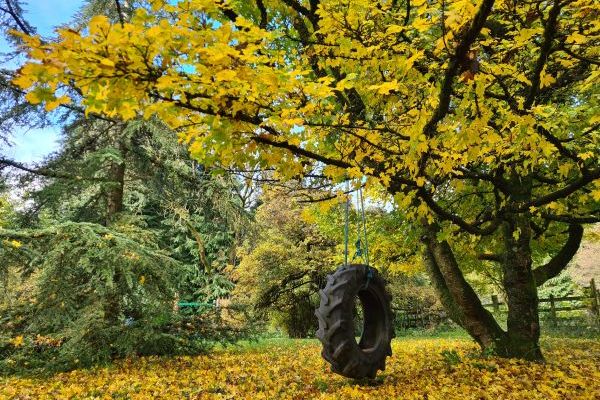Autumn at the farm