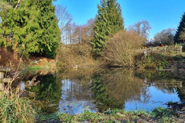 Trout pool