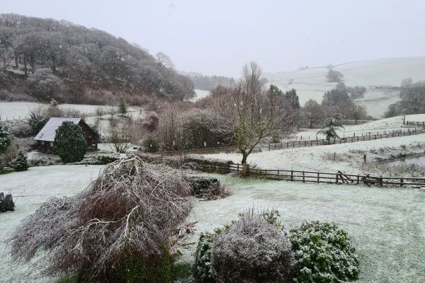 Frist snow