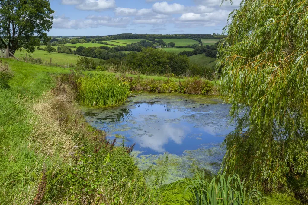 Sleeps 4 Idyllic Farmstay