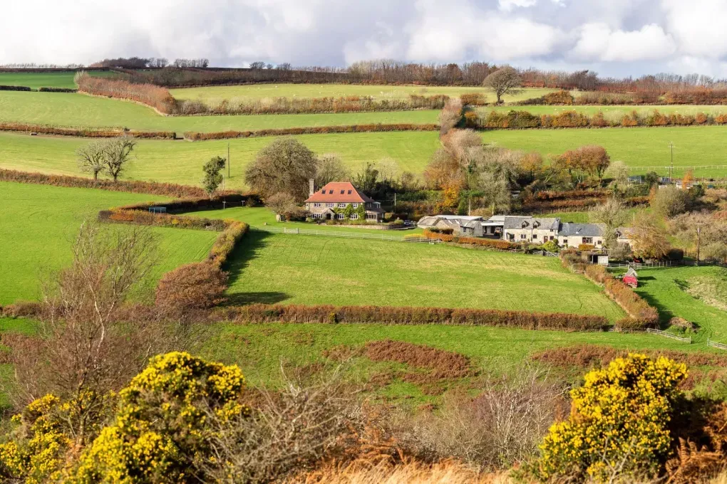 Norton Cottage, Hawkridge