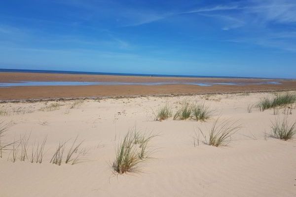 Holme beach - tide out