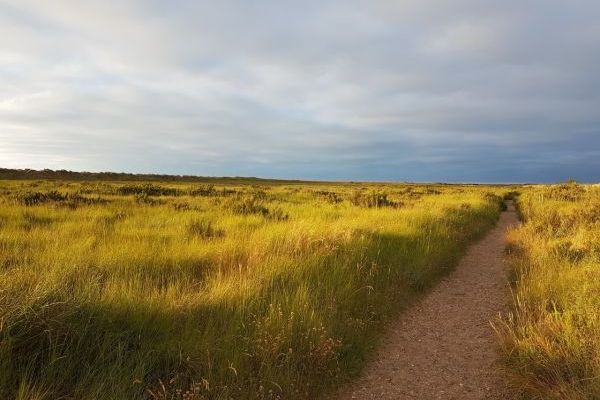 Norfolk Coastal Path at Holme