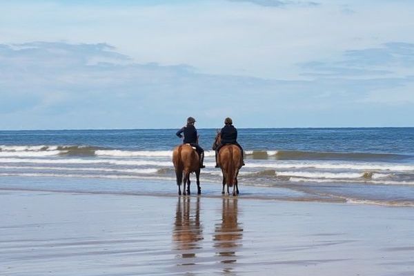 Horses on beach at Holme