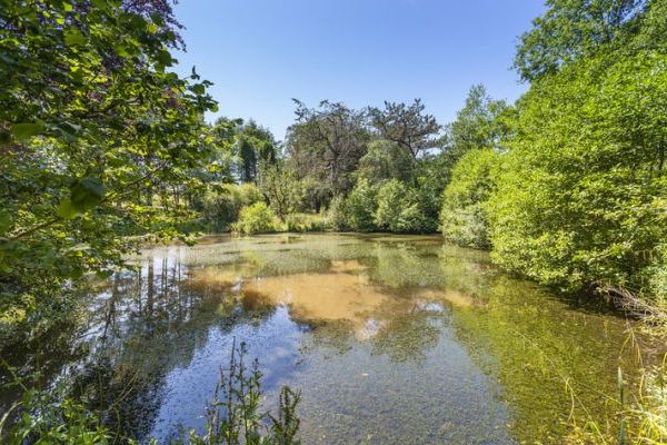 The Lawns Luxury Apartment in Devon/Beautiful South Hams