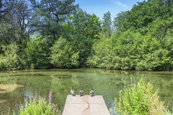 The Lawns Luxury Apartment in Devon/Beautiful South Hams