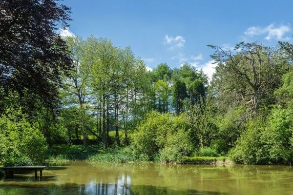 The Lawns Luxury Apartment in Devon/Beautiful South Hams
