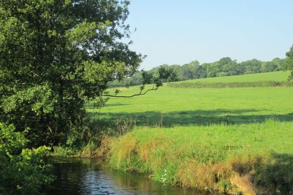 Walk by the river Otter