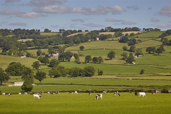 View of the surrounding Blackdown Hills