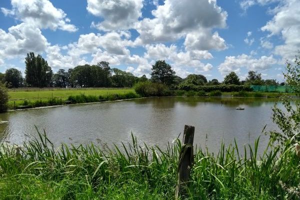 Briarcroft Fishery Lodge