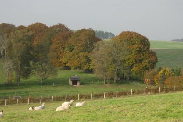 Waterlake Cottage, Orcheston, nr Stonehenge