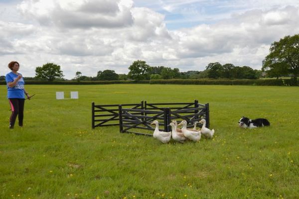 The Cotswold Manor Grange, Exclusive Hot-Tub, Games Barn, 70 acres of Parkland