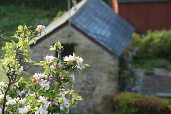 The Owlery, romantic couples' cottage