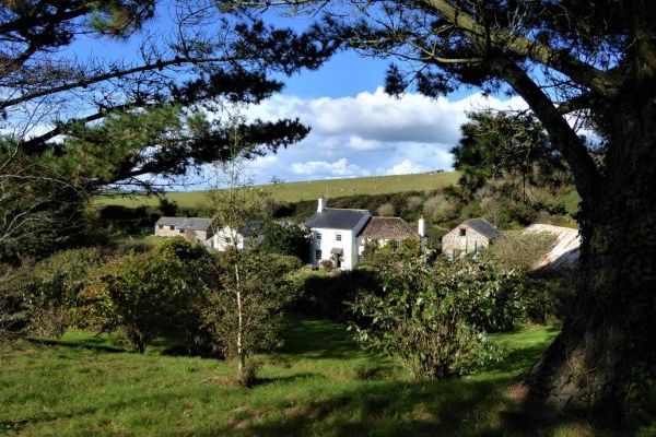 The Dovecote, two bedrooms sleeping 3 with pretty garden, dog friendly