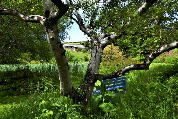 The Dovecote, two bedrooms sleeping 3 with pretty garden, dog friendly
