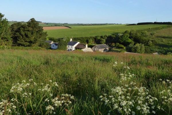 The Dovecote, two bedrooms sleeping 3 with pretty garden, dog friendly