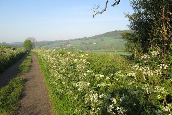 Quiet lanes to wander down