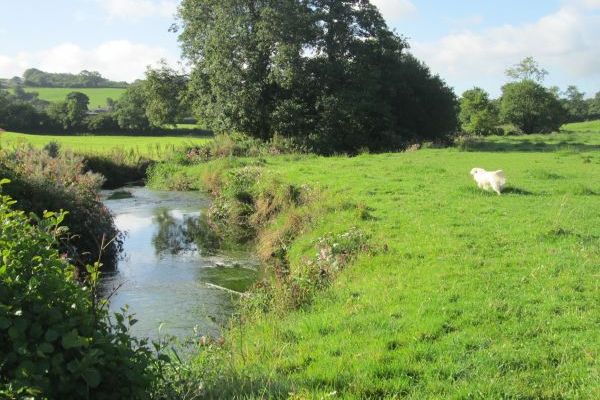 Walk by the river Otter