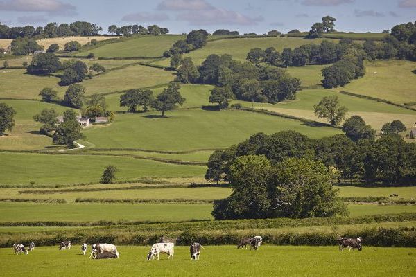 Wake up to views of the Blackdown Hills