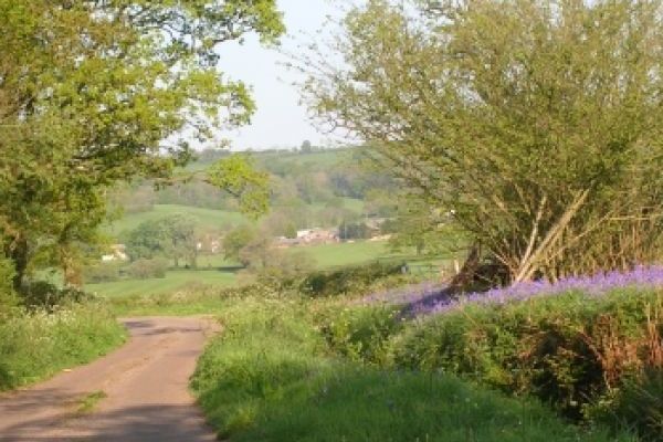 Quiet lanes to wander down