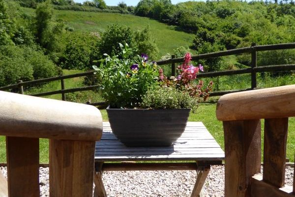 View over the valley from Honeysuckle garden at Dittiscombe Hills