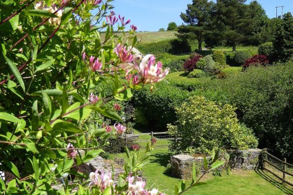 Gardens and grounds at Dittiscombe