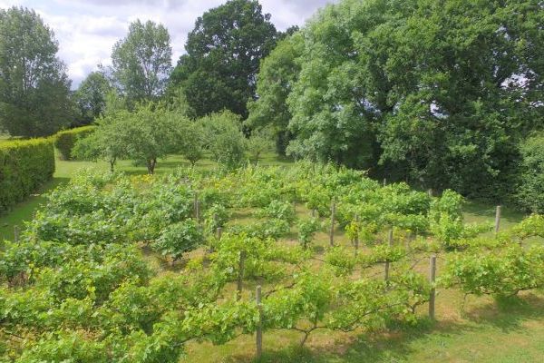 The Cotswold Manor Vineyard, Exclusive Hot-Tub, Games/Event Barns, 70 acres of Parkland