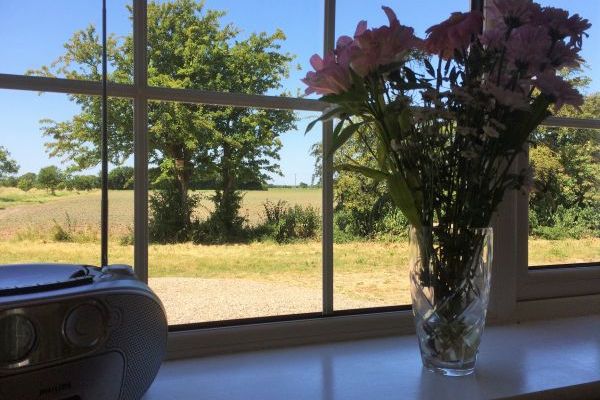 View from kitchen window