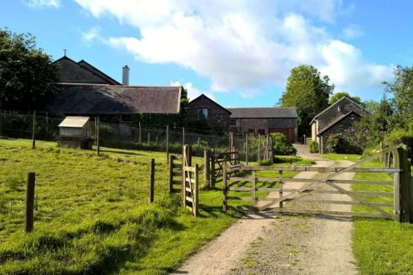 The Barn at RyePark House