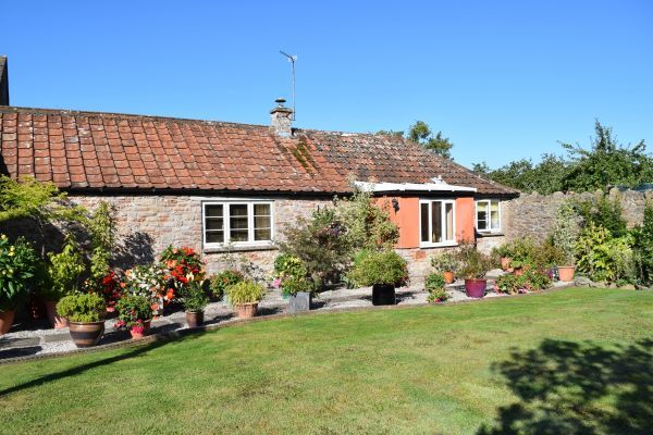 Rear garden and entrance porch