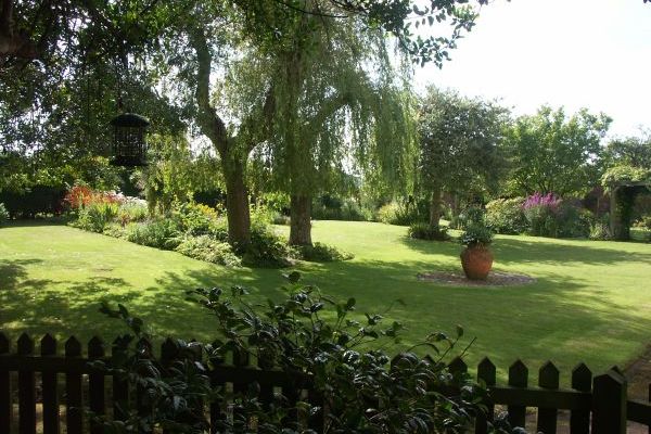 Part of the front garden 