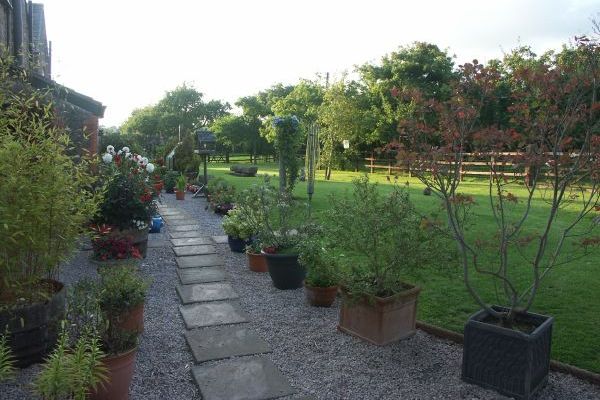 Access path to the cottage