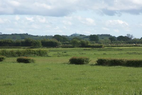 Distant view of the Tor from near cottage