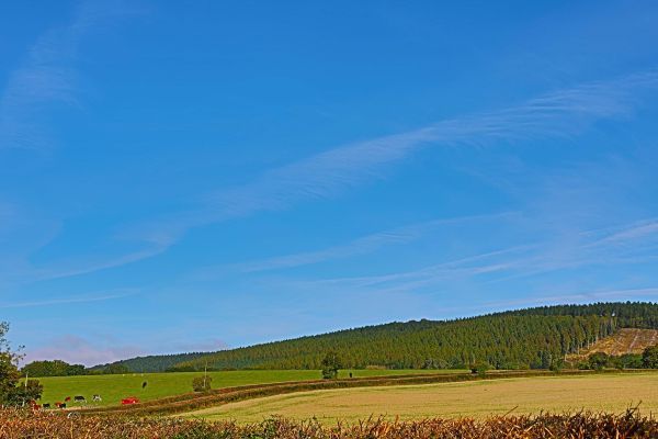 Field Barn sleeps 2, with a private Steam Room and AirCon!