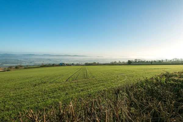 Field Barn sleeps 2, with a private Steam Room and AirCon!