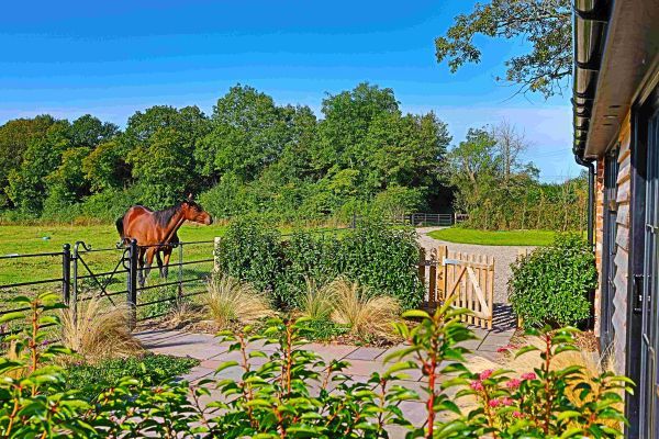 Field Barn sleeps 2, with a private Steam Room and AirCon!
