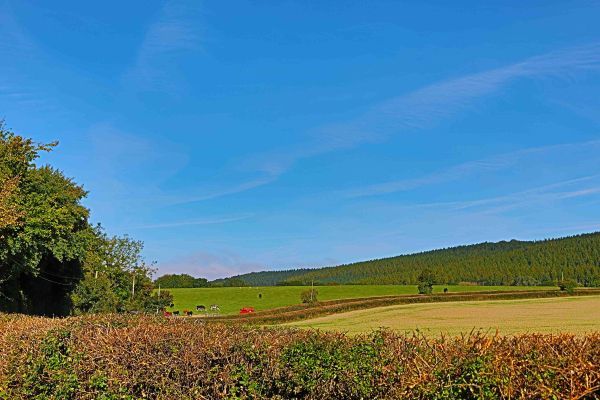 Field Barn sleeps 2, with a private Steam Room and AirCon!