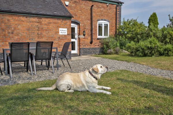 Buttercups & Hayloft Sleeps & Dines 16 with Pool, Sports Court & Play Area