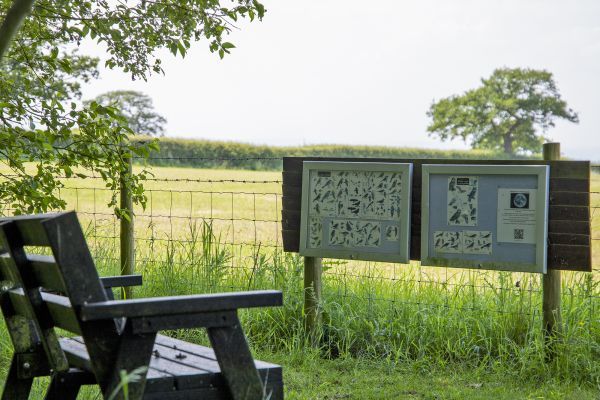 Buttercups & Hayloft Sleeps & Dines 16 with Pool, Sports Court & Play Area