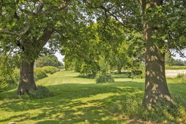 Buttercups & Hayloft Sleeps & Dines 16 with Pool, Sports Court & Play Area