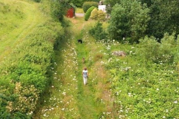Rafters, 2 bedrooms, sleeps 4, level enclosed garden, dog friendly