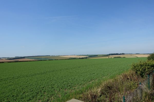 The Cornmill 